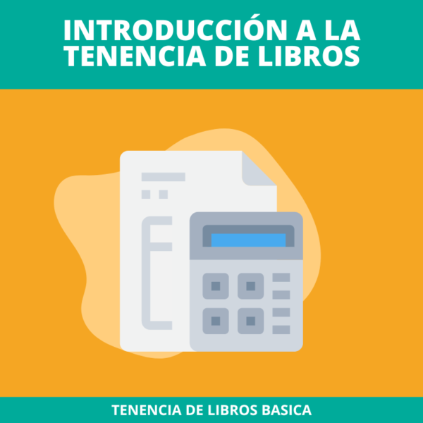 Tenencia de libros basica: Introducción a la tenencia de libros